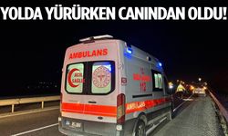 Yol kenarında yürürken canından oldu