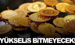 Uzman tahmini... Altının yükselişi bitmeyecek!