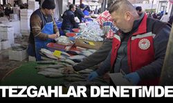 Sarıgöl’de balık tezgâhlarına sıkı denetim… Ekipler tek tek kontrol etti!