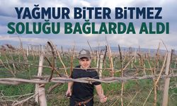 Yağmur biter bitmez soluğu üzüm bağlarında aldılar