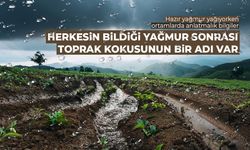 Yağmurdan sonra gelen o koku tesadüf değil!