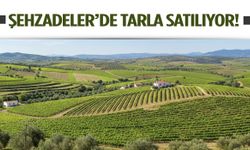 Yatırımcılar dikkat! Şehzadeler’de tarla satışa çıktı