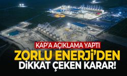 Zorlu Enerji’den dikkat çeken karar!