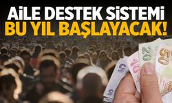 Ailelere nakdi destek bu yıl başlıyor!