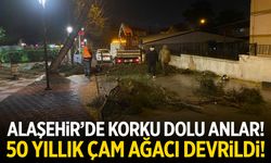 Alaşehir’de fırtına faciası! 50 yıllık çam ağacı caddeyi kapattı