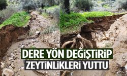 Dere yön değiştirip zeytinlikleri yuttu!