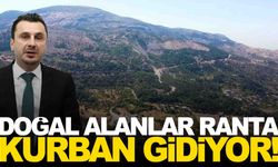 Manisalı vekilden iddia... Doğal alanlar ranta kurban gidiyor!
