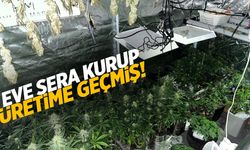 Evde sera kurup kenevir üretimi yapan 2 kişi yakalandı