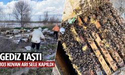 Gediz taştı… 103 kovan arı sele kapıldı!