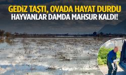 Gediz taştı, ovada hayat durdu… Hayvanlar damda mahsur kaldı!