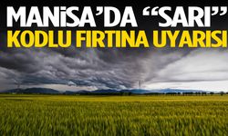 Manisa’da “sarı” kodlu fırtına uyarısı