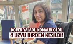 Köpeğin yaladığı kadının 4 uzvu kesildi!