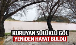 Kuruyan Sülüklü göl yeniden hayat buldu!