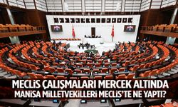 Manisa milletvekilleri Meclis’te ne yaptı?