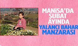 Manisa’da Şubat ayında yalancı bahar manzarası