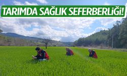 Tarımda sağlık seferberliği