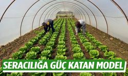Seracılığa güç katan model