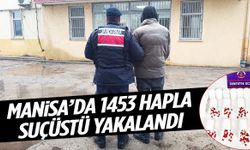 Manisa’da 1453 hapla suçüstü yakalandı!
