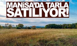 Manisa’da 24,6 dönüm tarla satılıyor... İhale tarihini kaçırmayın!