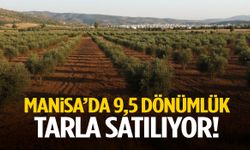 Manisa’da 9,5 dönümlük tarla satılıyor!