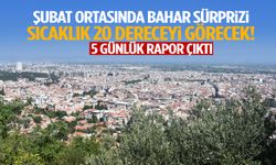 Manisa’da Şubat ortasında bahar sürprizi! Sıcaklık 20 dereceyi görecek