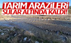Manisa’da tarım arazileri sular altında kaldı!