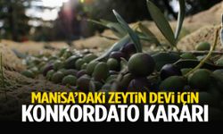 Manisa’daki zeytin devi için konkordato kararı!