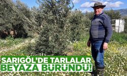 Sarıgöl’de tarlalar beyaza büründü!