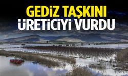 Menemen’de felaket: Gediz taşkını üreticiyi vurdu