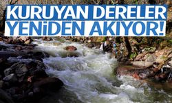 Kuruyan dereler yeniden akıyor