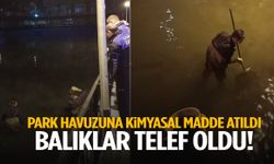 Soma’da park havuzuna kimyasal madde atıldı… Balıklar telef oldu!