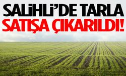 Yatırımcıların dikkatine! Salihli’de tarla satışa çıkarıldı…
