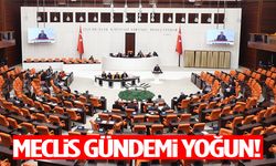 Türkiye Büyük Millet Meclisi’nde bu hafta yoğun gündem