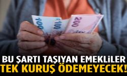 Bu şartı taşıyan emekliler tek kuruş ödemeyecek!