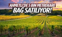 Ahmetli’de 5 bin metrekare bağ satılıyor!