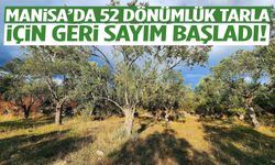 Manisa’da kaçırılmayacak fırsat… 52 dönümlük zeytinlik satışta!