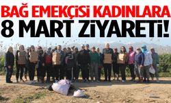 Bağ emekçisi kadınlara 8 Mart ziyareti