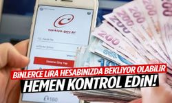 Binlerce lira hesabınızda bekliyor olabilir! Hemen kontrol edin!