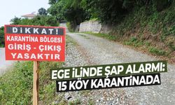 Ege ilinde şap alarmı: 15 köy karantinada