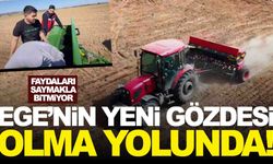 Faydaları saymakla bitmiyor… Ege’nin yeni gözdesi olma yolunda