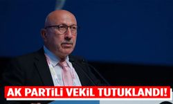Eski AK Parti milletvekili Ali Bayramoğlu tutuklandı