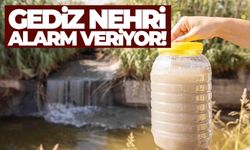 Gediz Nehri’nde alarm… Kirlilik tarımı ve körfezi tehdit ediyor!