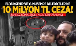 Büyükşehir ve Yunusemre Belediyelerine 10 milyon TL’lik ‘sahipsiz köpek’ cezası!