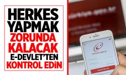Herkes yapmak zorunda! e-Devlet'ten kontrol edin!