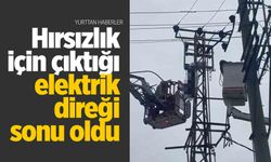 Hırsızlık için çıktığı elektrik direğinde çarpılarak öldü