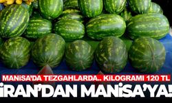 İran’dan geldi... Manisa tezgahlarını süslüyor!
