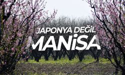 Japonya değil Manisa!