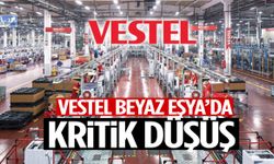 Kritik karar açıklandı: Vestel Beyaz Eşya’da sürpriz düşüş!