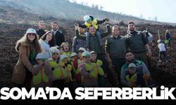 Soma’da yanan alanlar yeniden yeşeriyor…  4 bin fidan toprakla buluştu