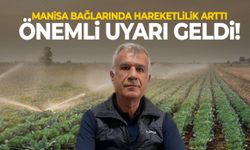 Manisa bağlarında hareketlilik arttı! Önemli uyarı geldi